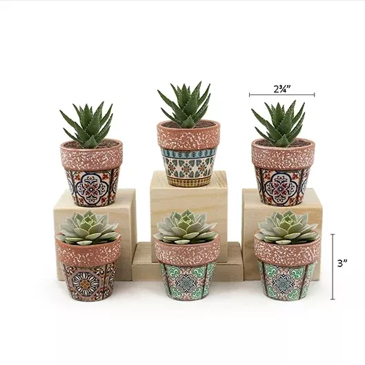 Land & Sea_ Assorted Decorative Mini Pot