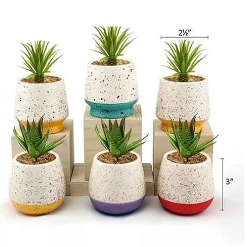Land & Sea_ Assorted Sandy Mini Pot
