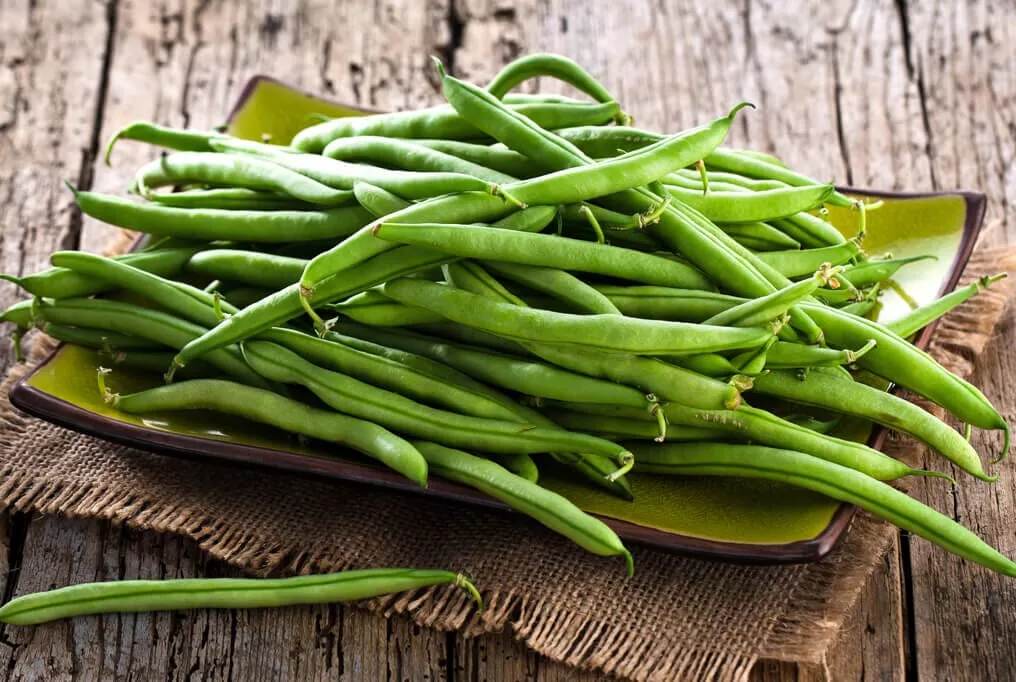 Landreth Stringless Bean