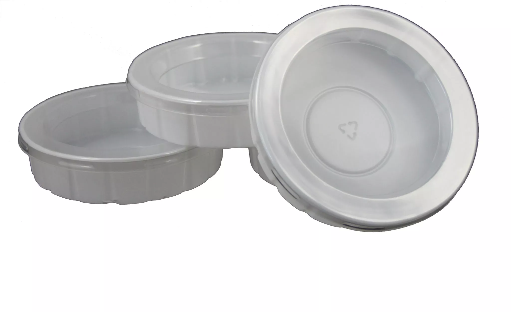 Large Mealworm Dishes