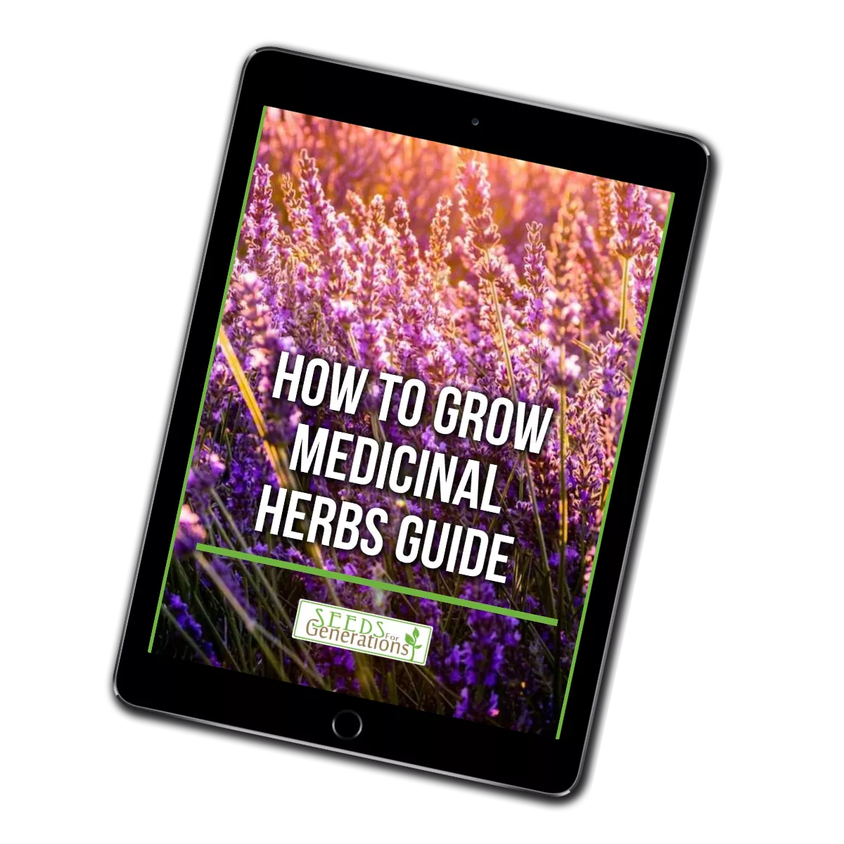 Medicinal Herbs Guide
