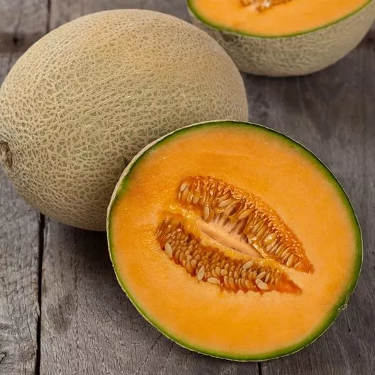 Melon Hales Best Jumbo Organic
