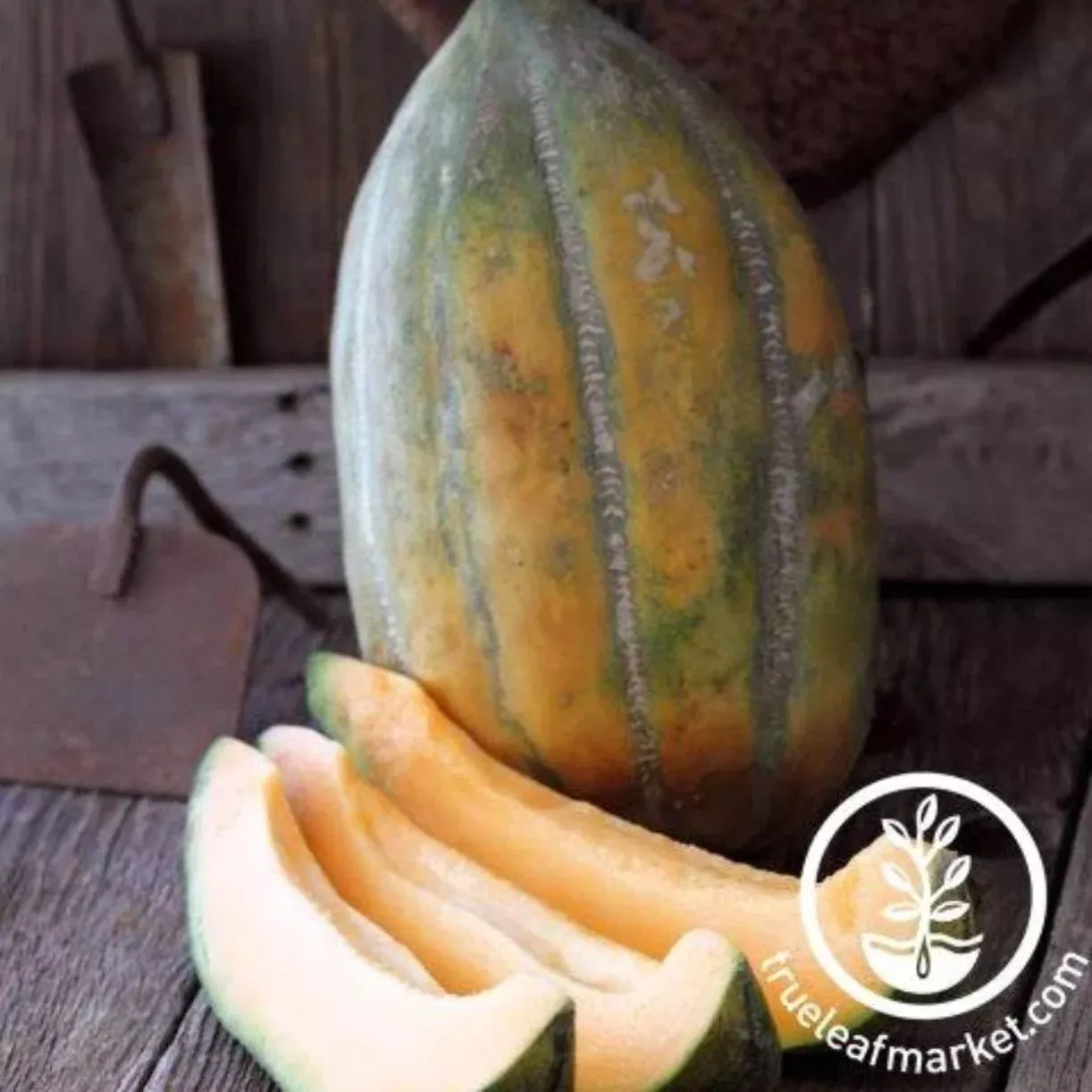 Melon Seeds - Casaba - Bidwell