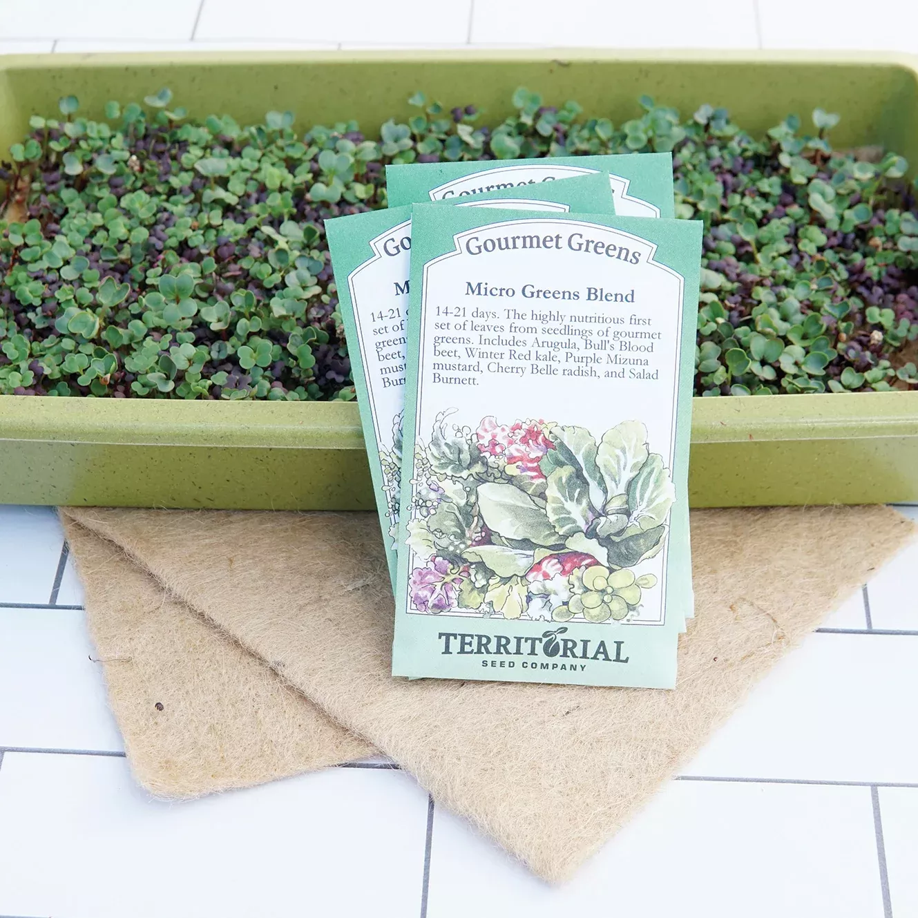 MIghty Microgreens Growing Kit