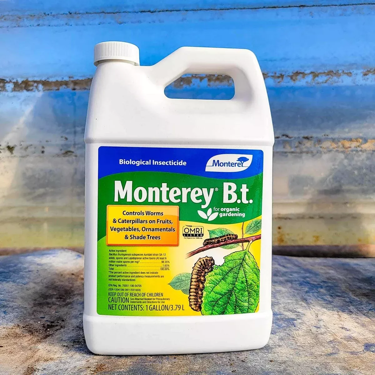 Monterey Bt