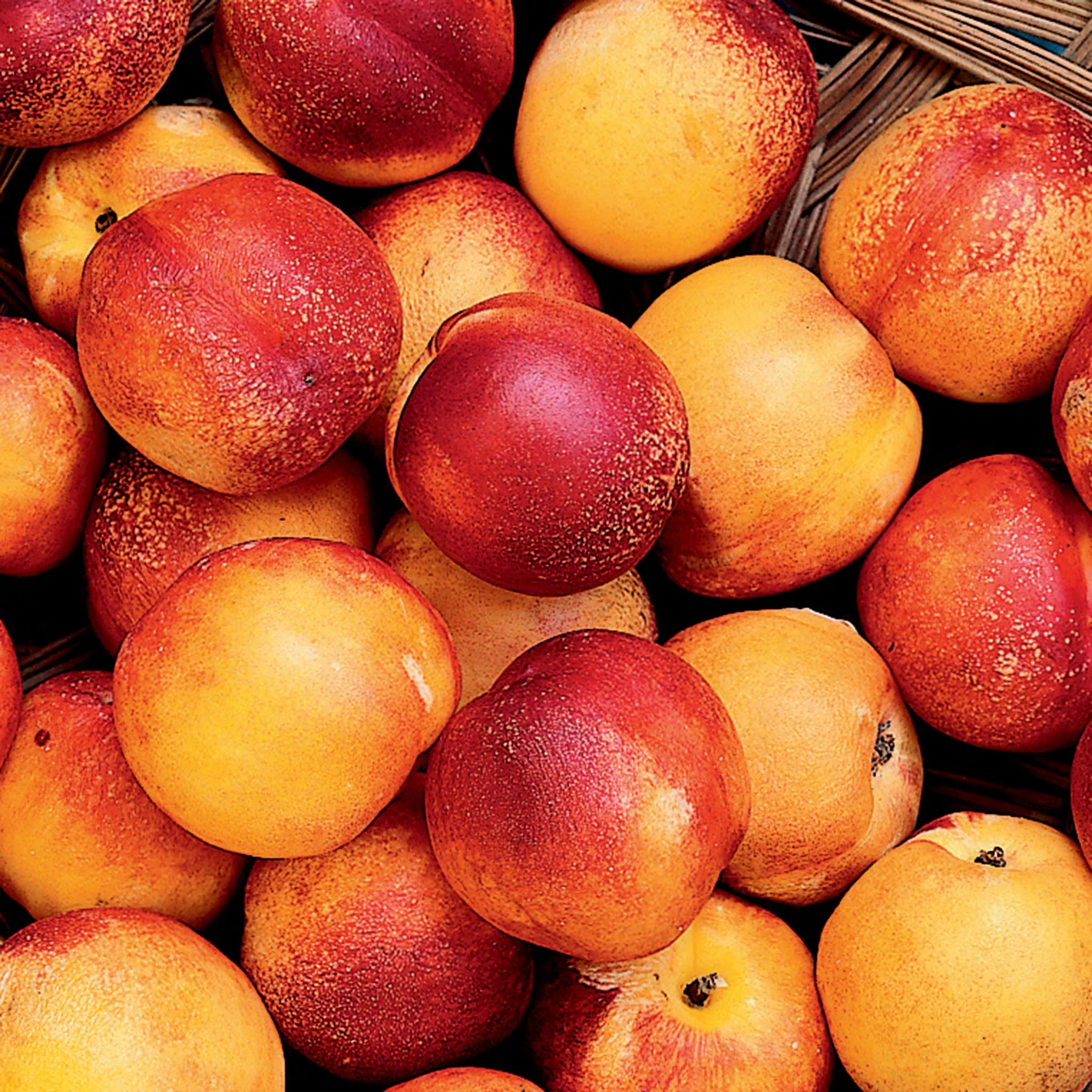 Nectarine, Hardired