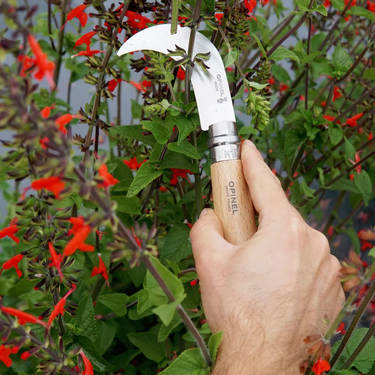 No 10 Billhook