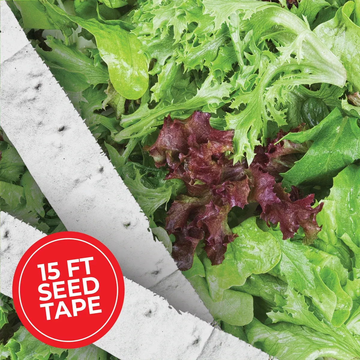 Oakleaf Salad Bowl Lettuce Mix Seed Tape