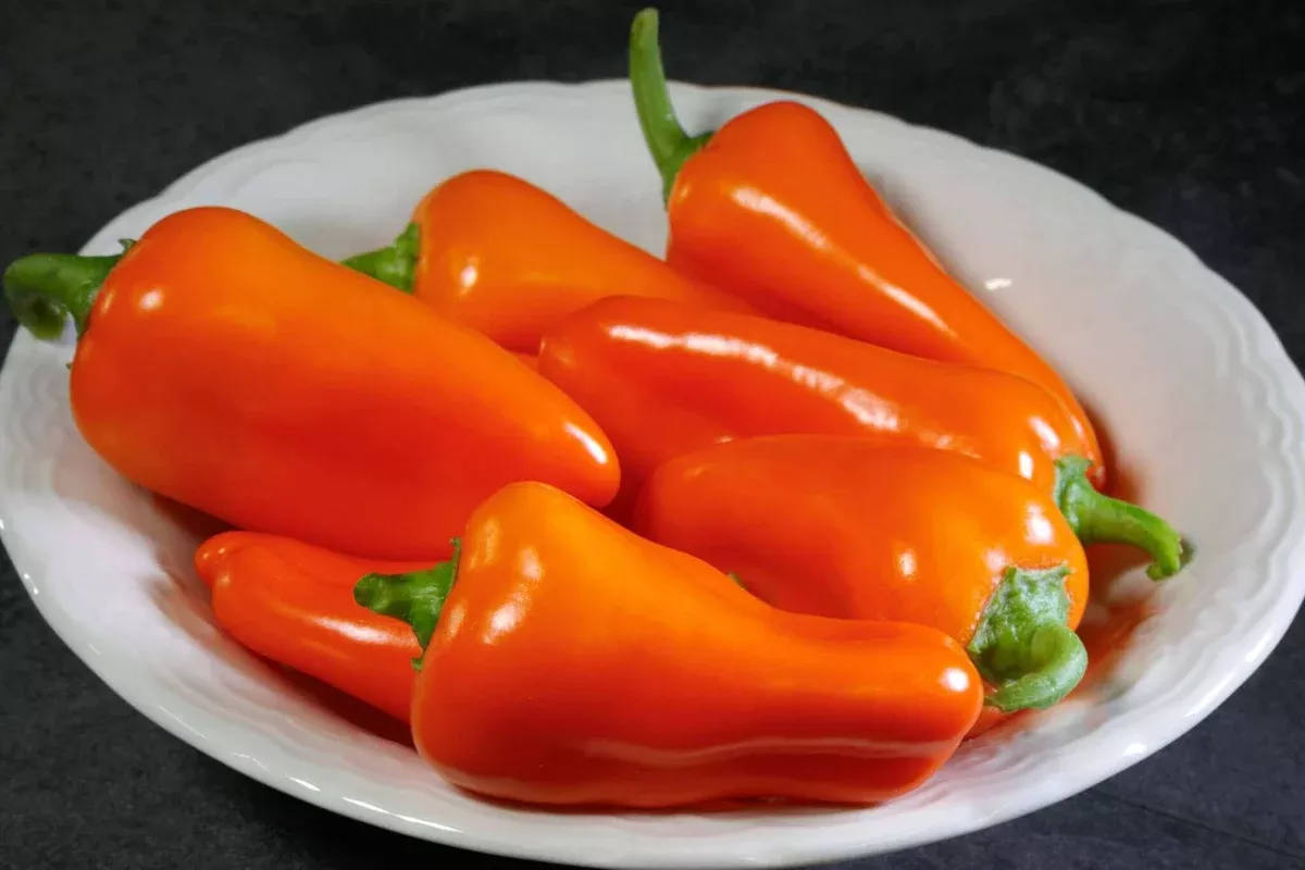 Orange Delite Hybrid Pepper F1