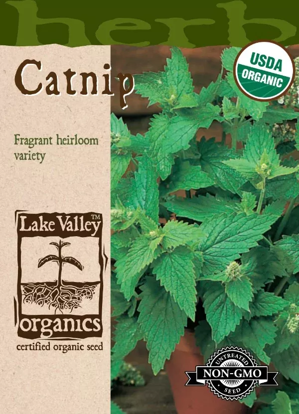 Organic Catnip Heirloom