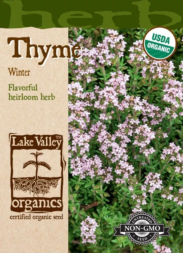 Organic Thyme Winter Heirloom