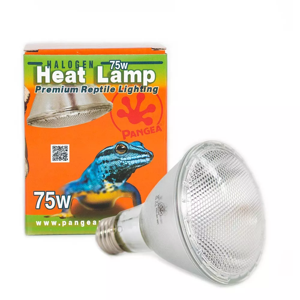 Pangea Halogen Heat Lamp 75w