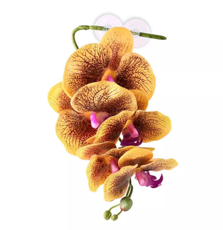 Pangea Hanging Orchids Yellow