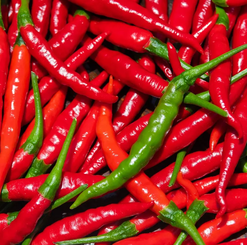 Pepper Cayenne Long Slim