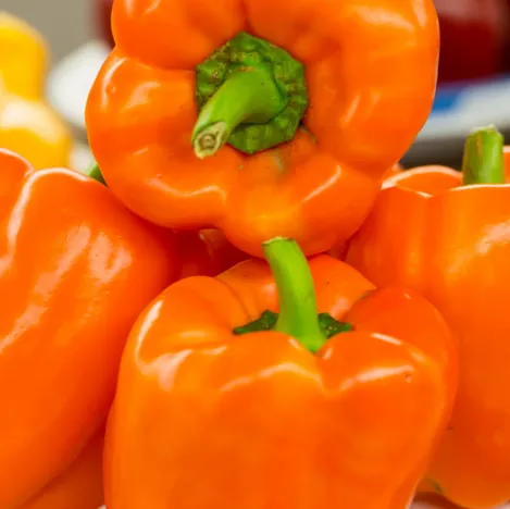 Pepper Horizon Orange Bell