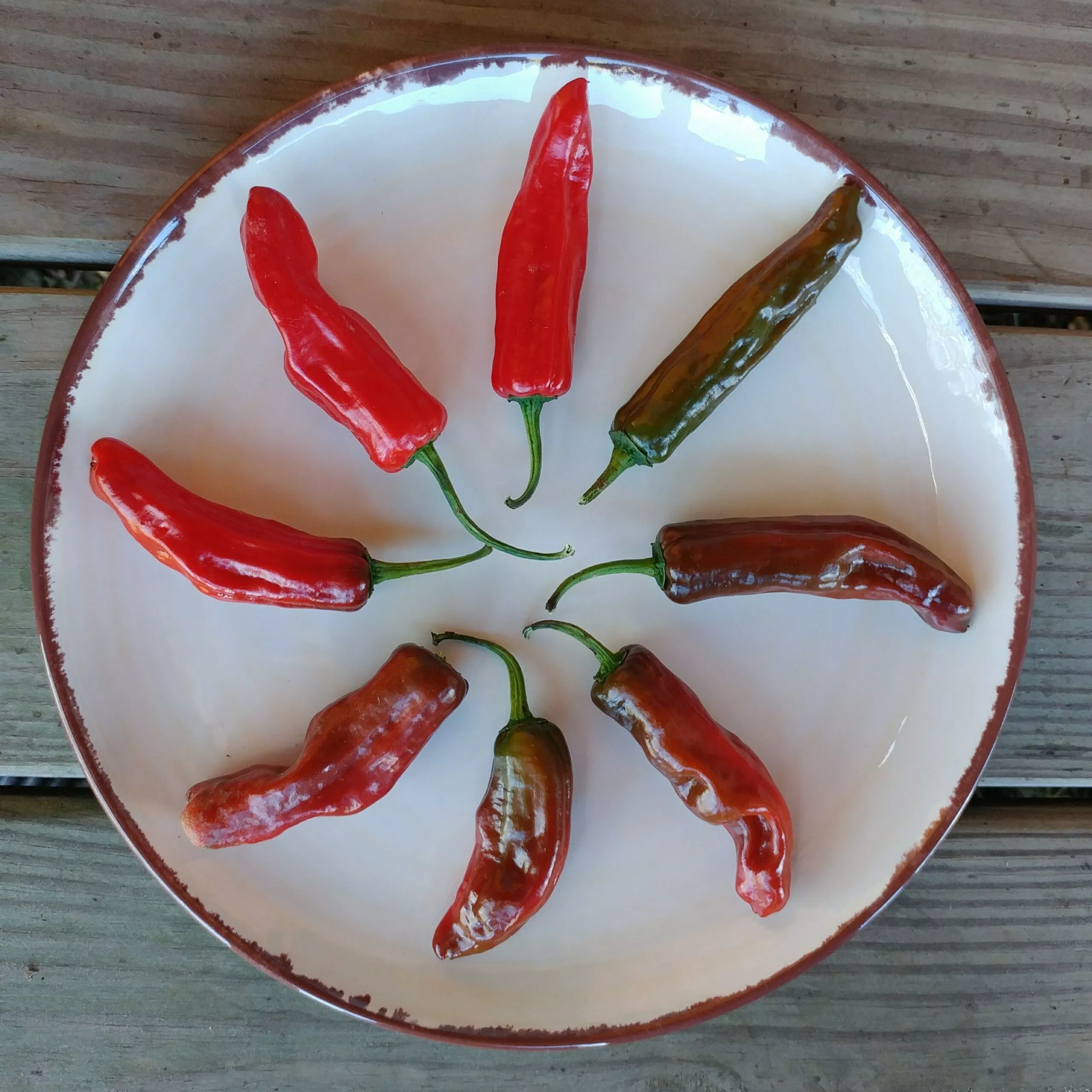 Pepper Pepperocini (Italian)