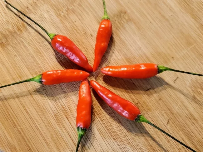 Pepper Tabasco