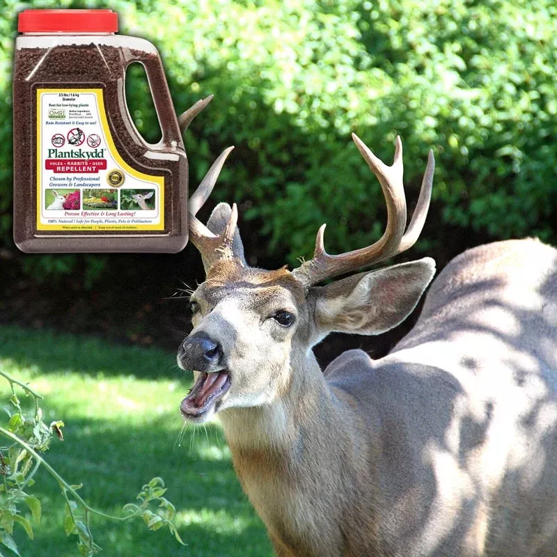 Plantskydd Deer & Squirrel Repellent