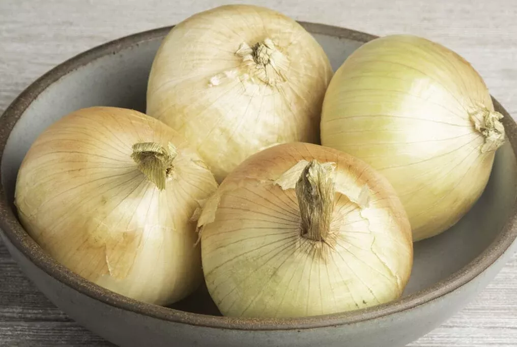 Plethora Hybrid Onion F1