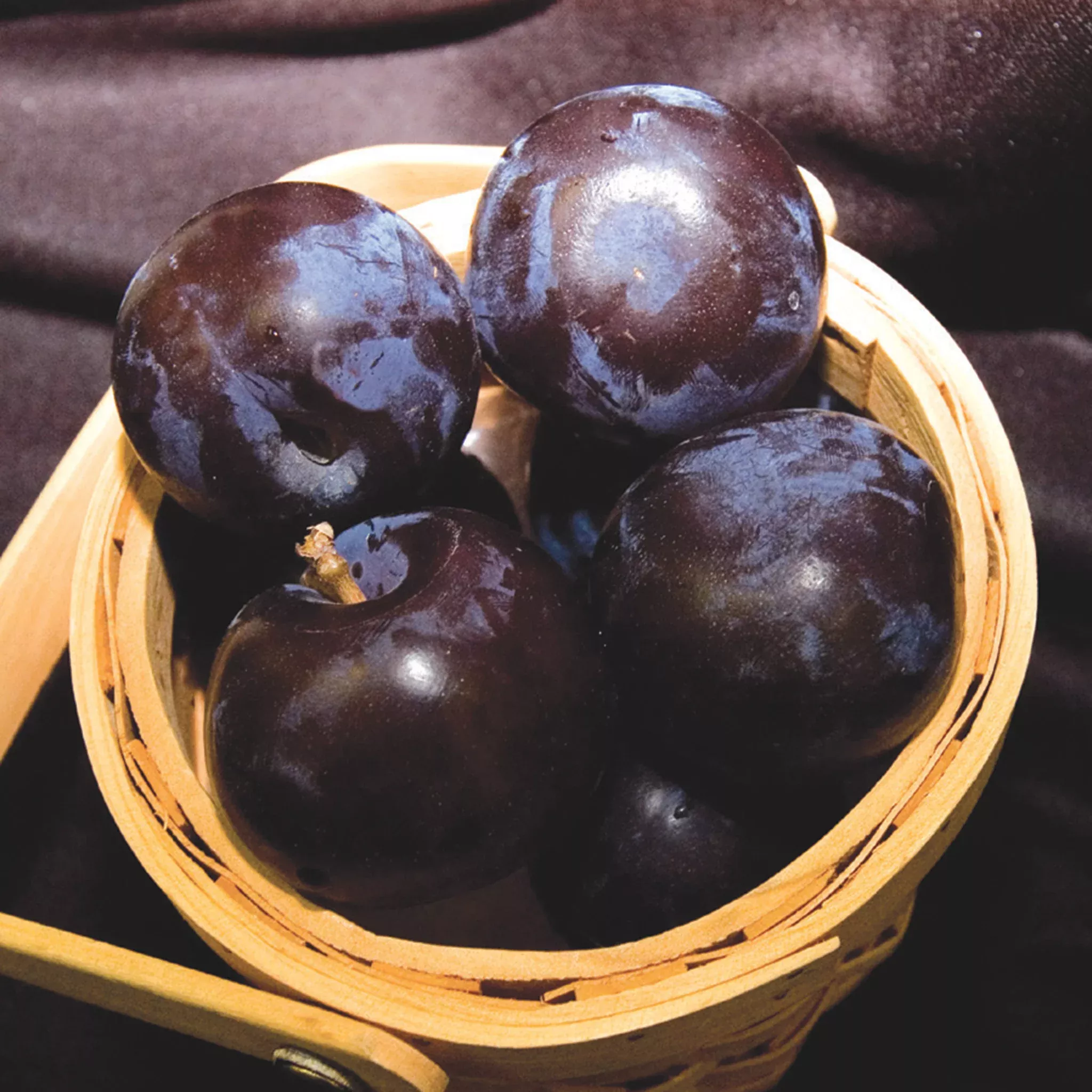 Plum, Black Ice