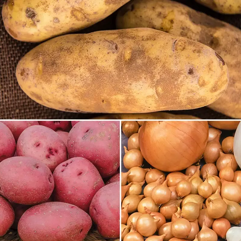 Potato and Onion Mash-Up