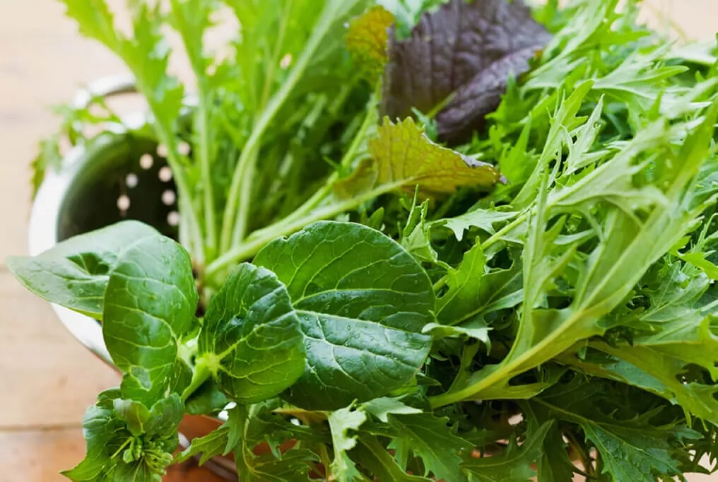 Premium Greens Mix