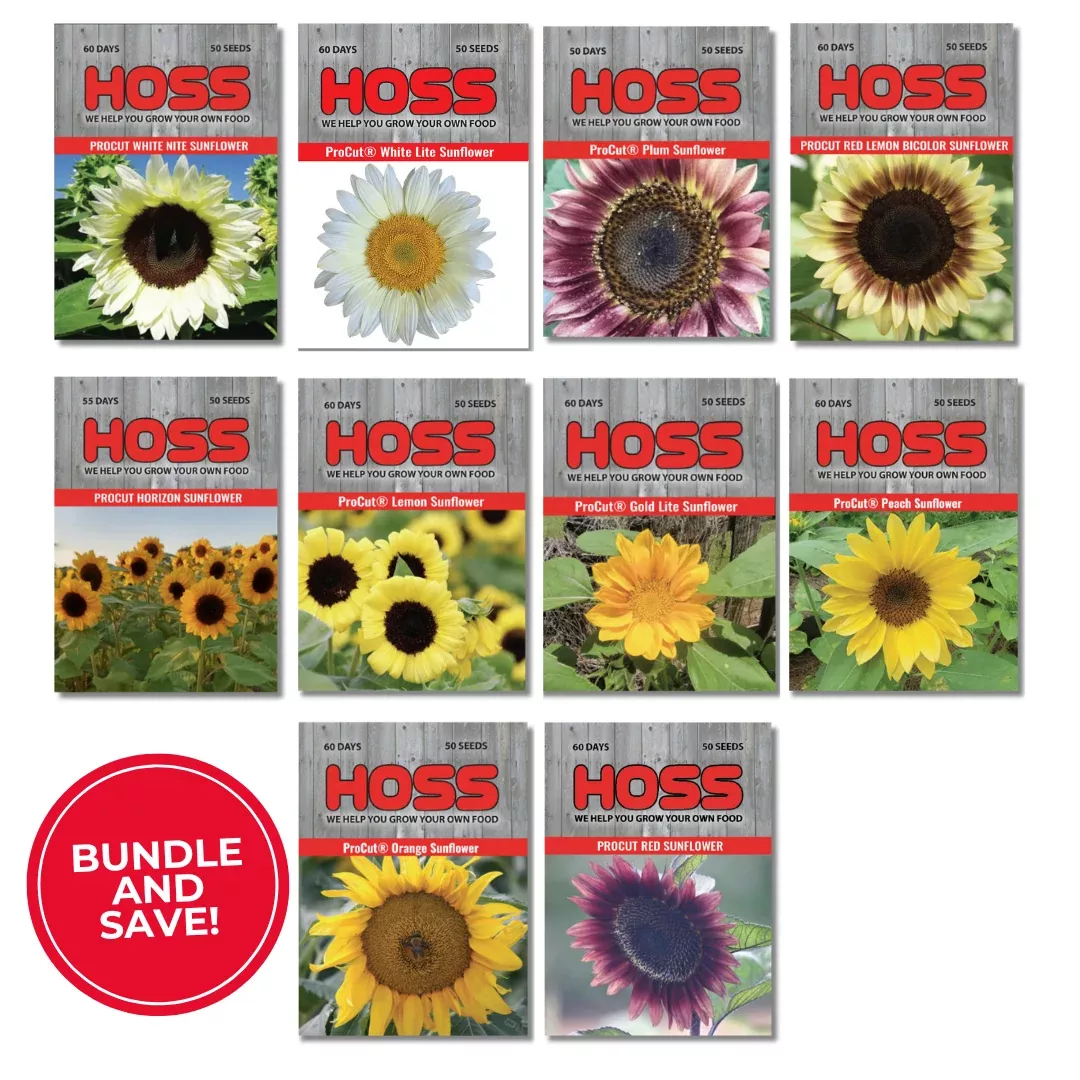 ProCut Sunflower Bundle