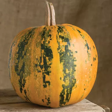 Pumpkin Kakai Organic