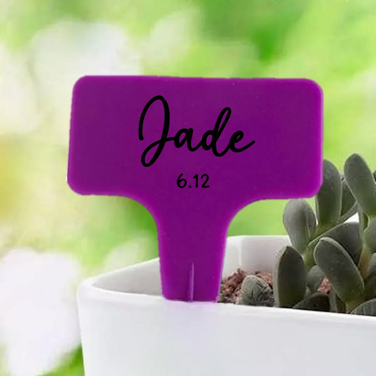 Purple T-Shaped Plant Labels