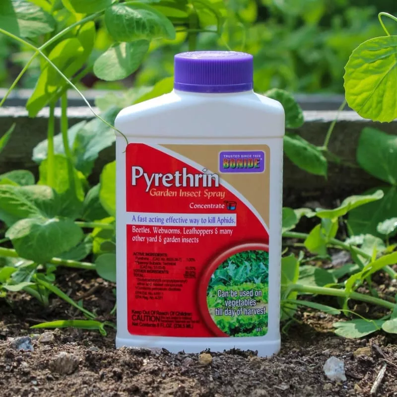 Pyrethrin Garden Insect Spray