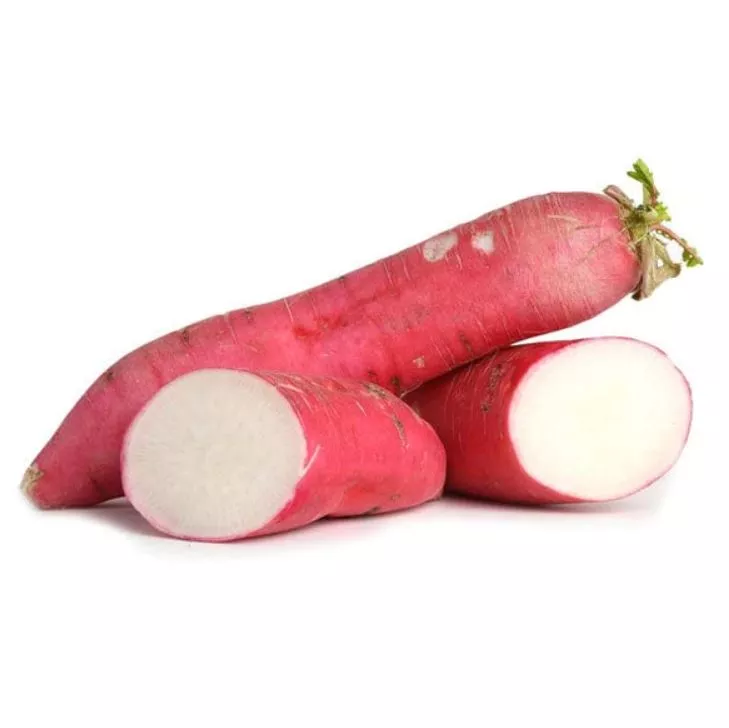 Radish Red Daikon