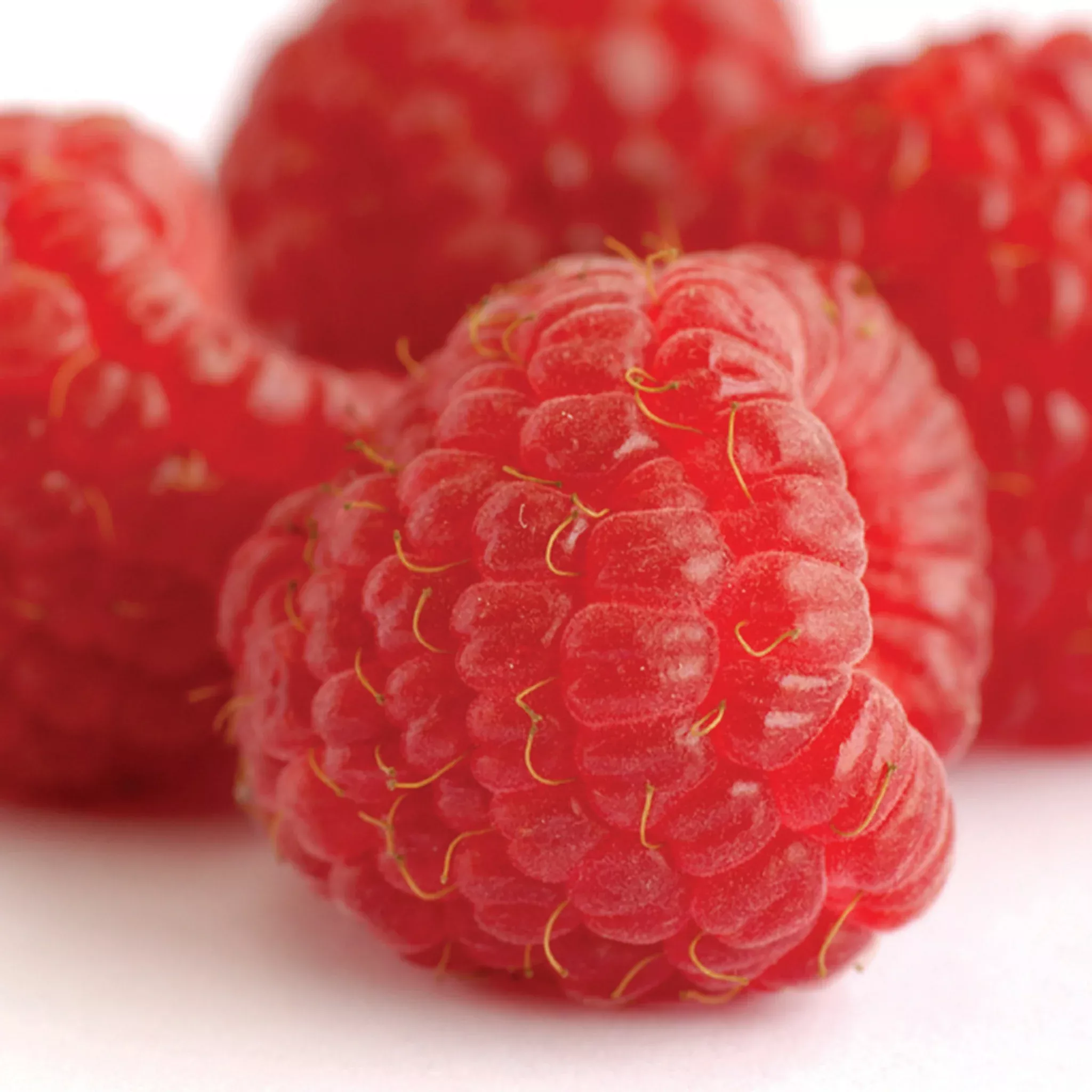 Raspberry, Fall-Bearing, Heritage