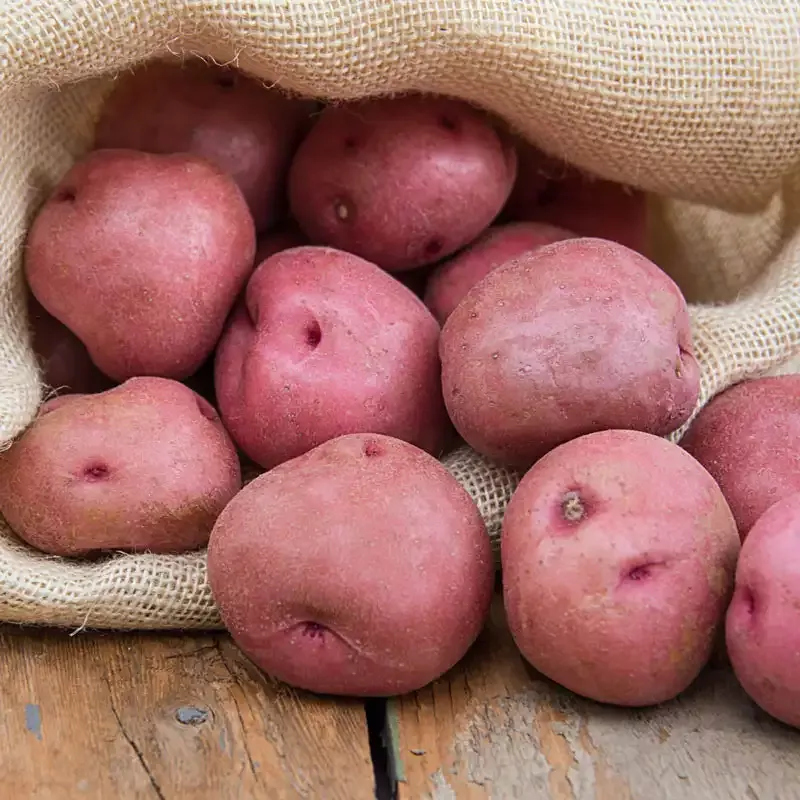 Red La Soda Potato