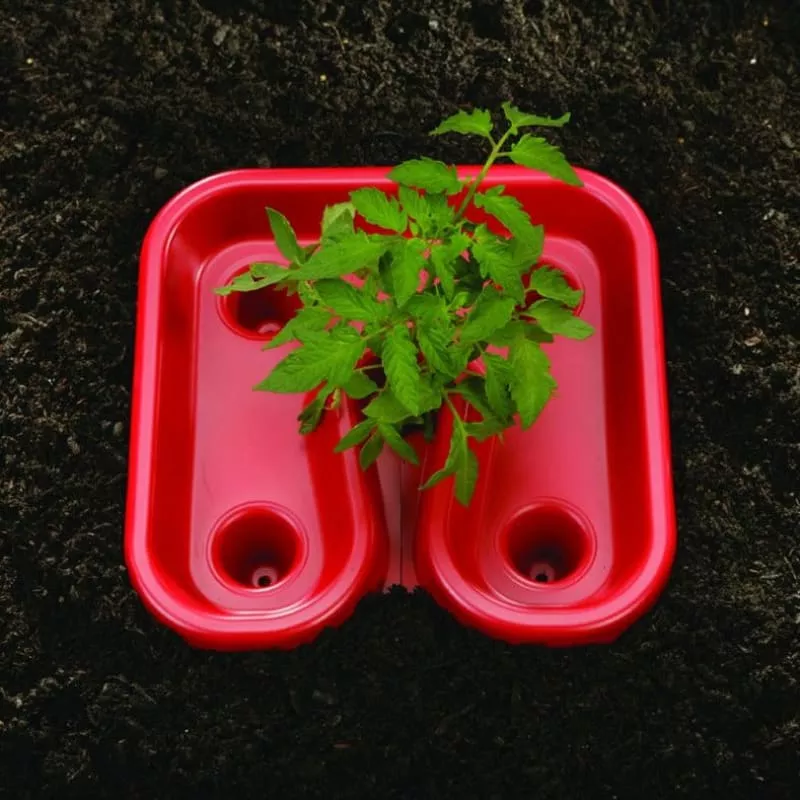 Red Tomato Trays (3)