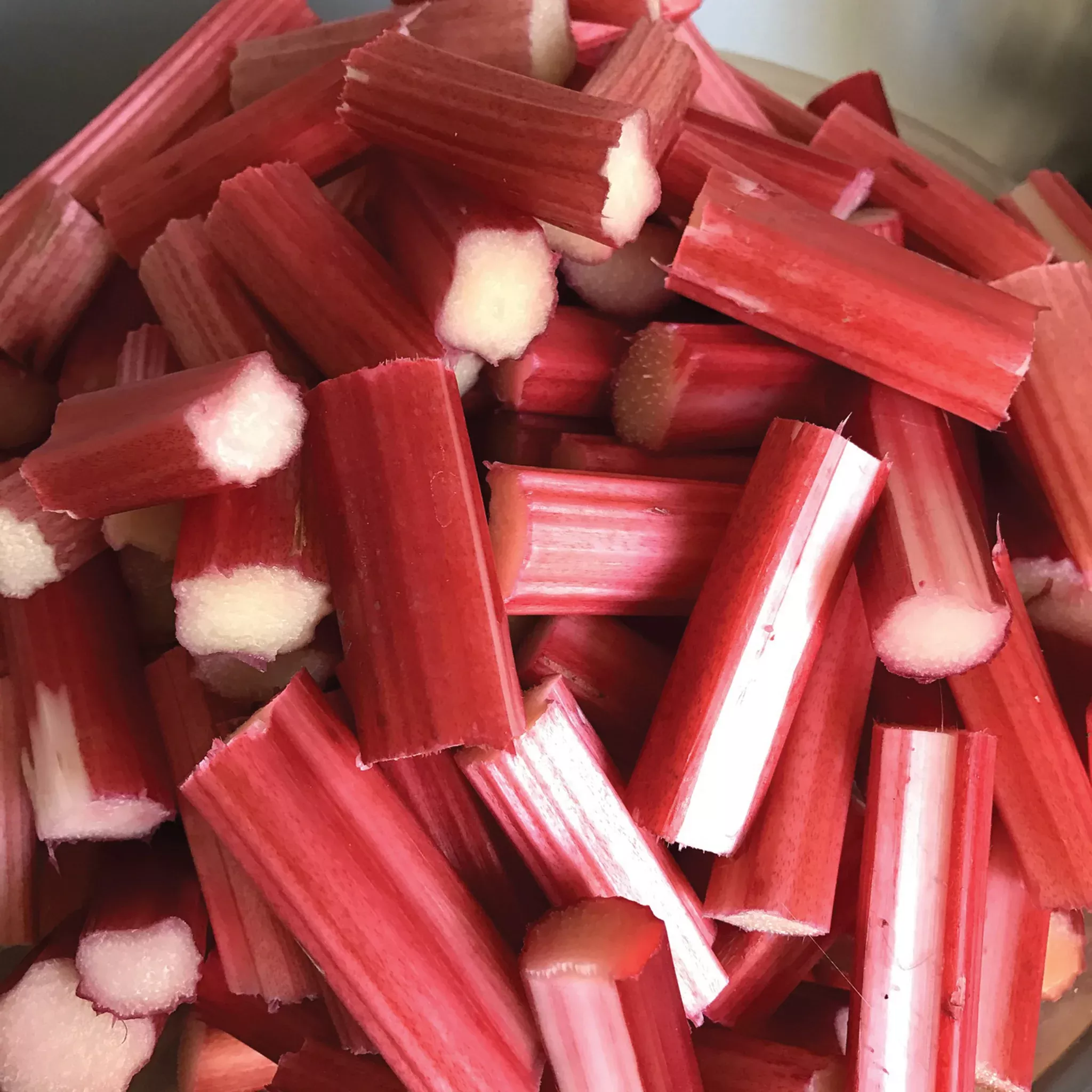 Rhubarb Canada Red