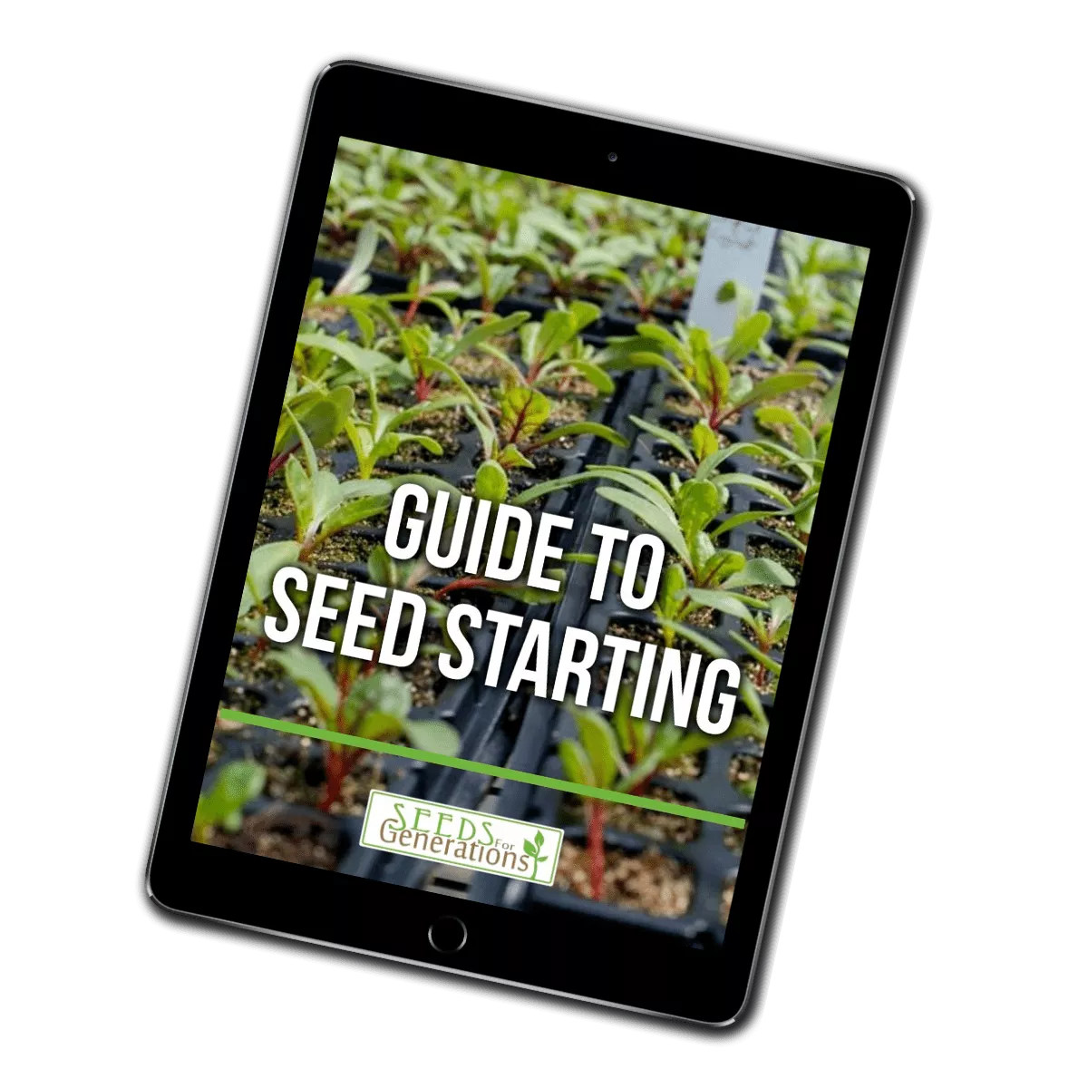 Seed Starting Guide