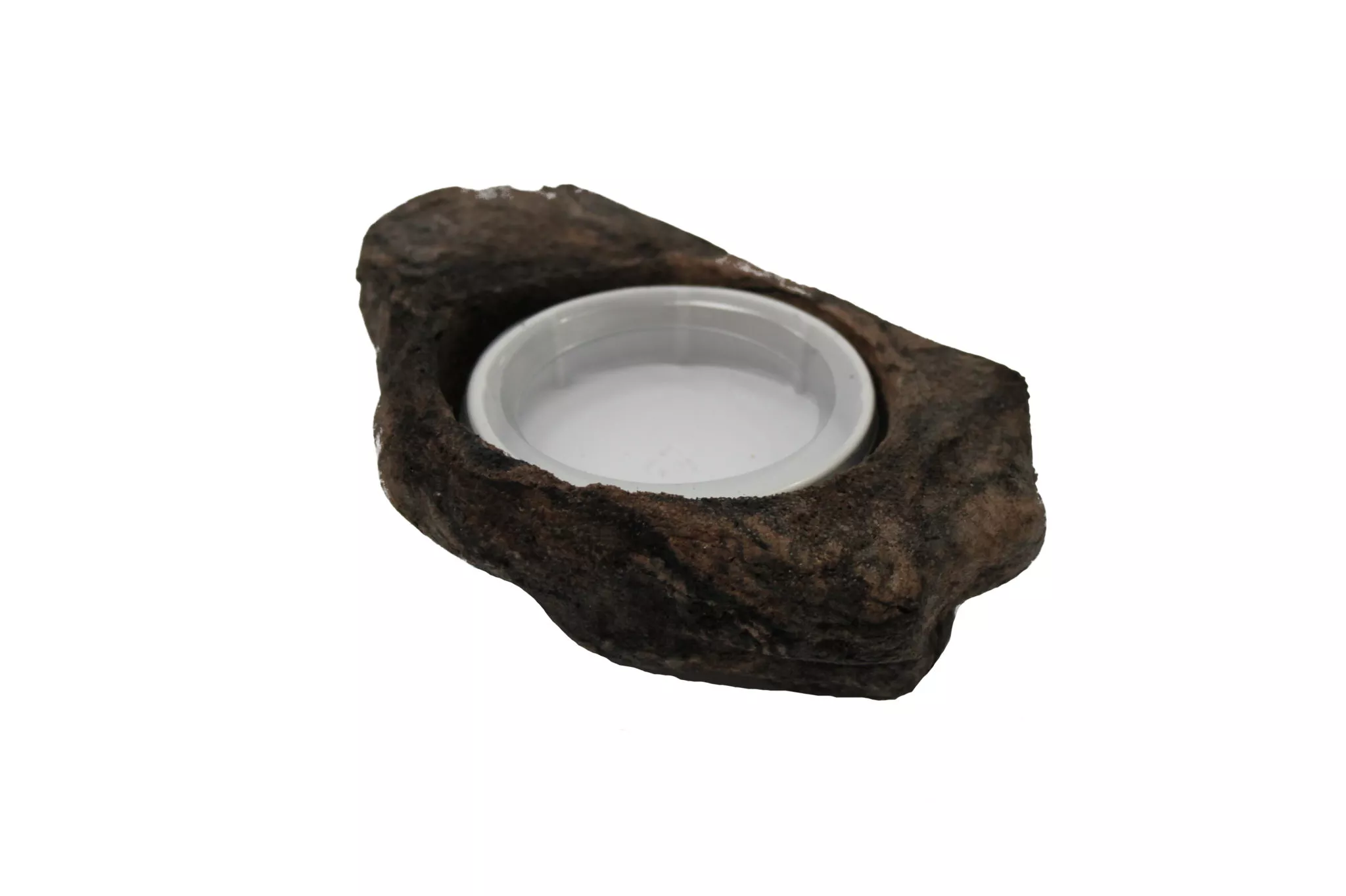 Small Worm Feeder Ledge – Earth