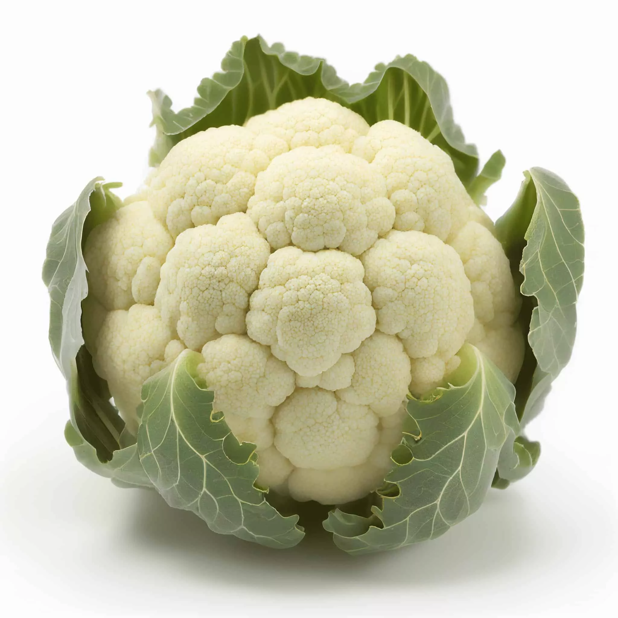 Snow Ball Cauliflower Plants