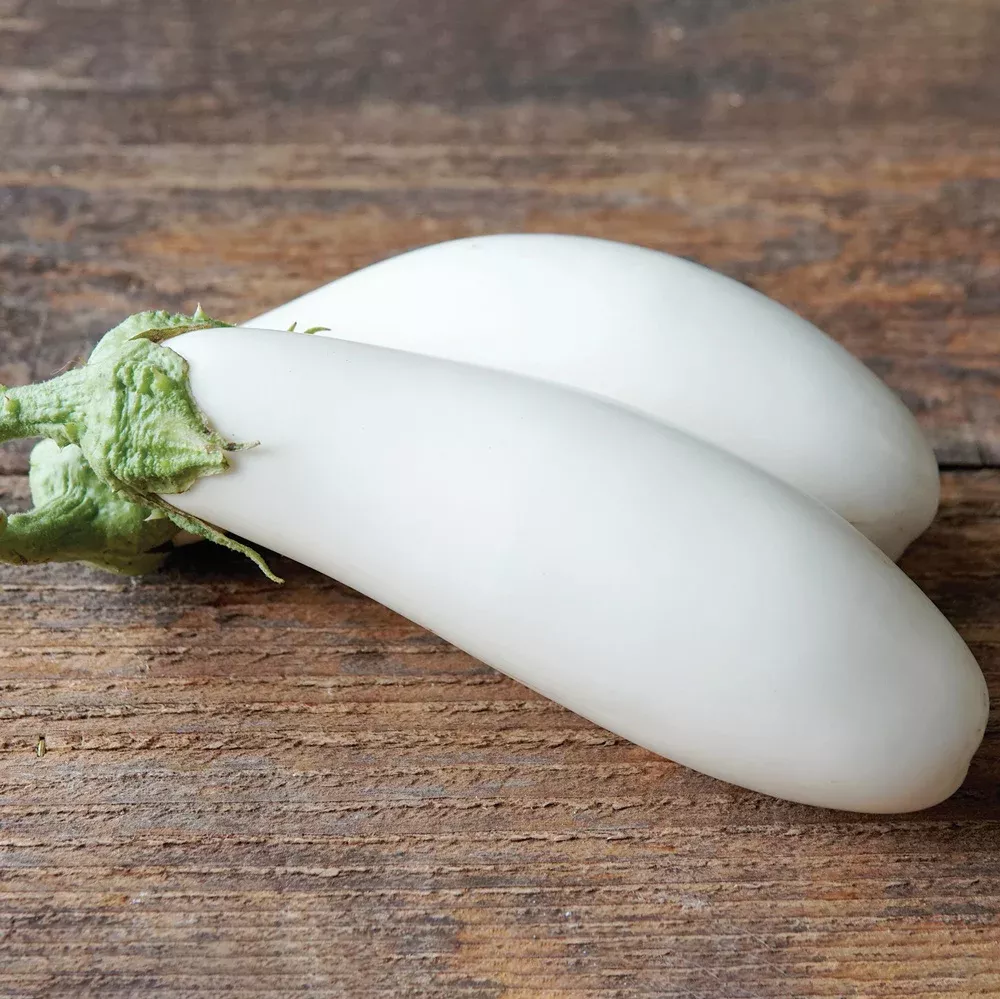 Snowy Eggplant