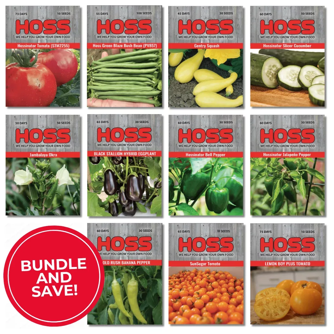 Southern Garden Seed Bundle