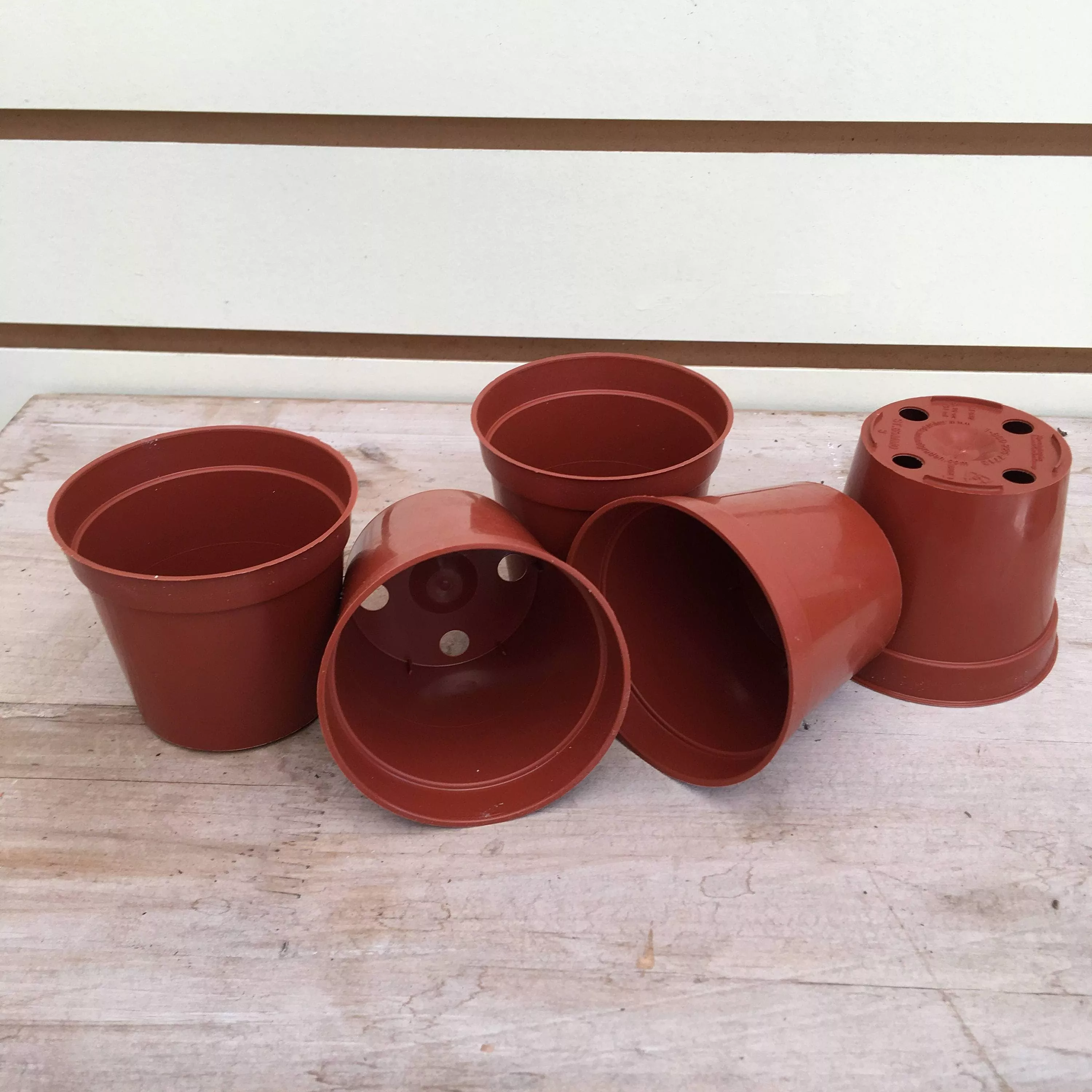 Starter Kit for Small Cuttings