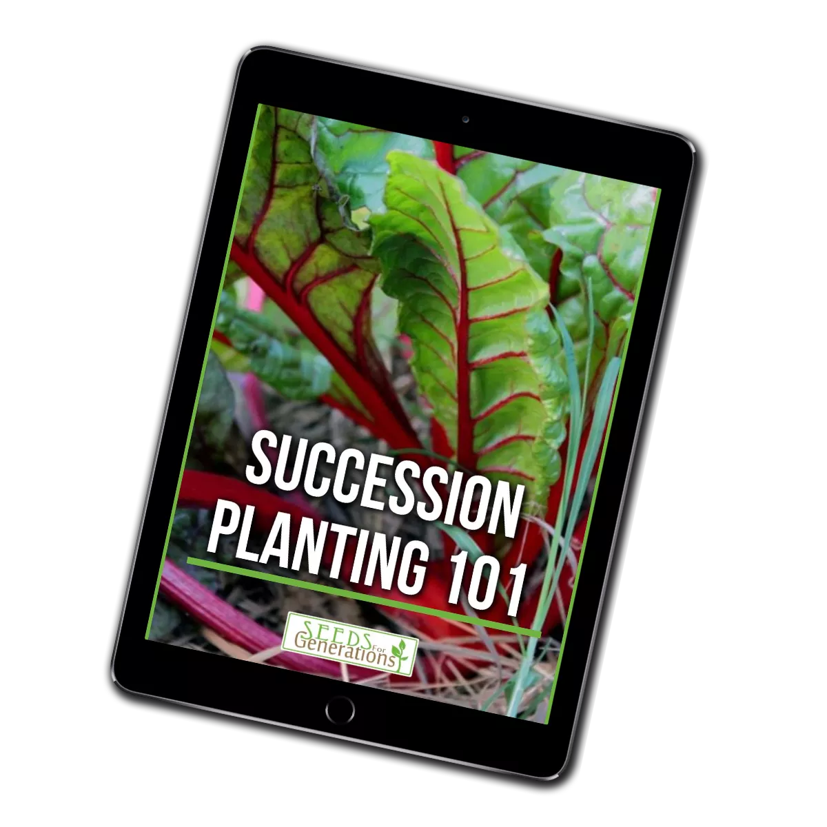 Succession Planting 101 Guide