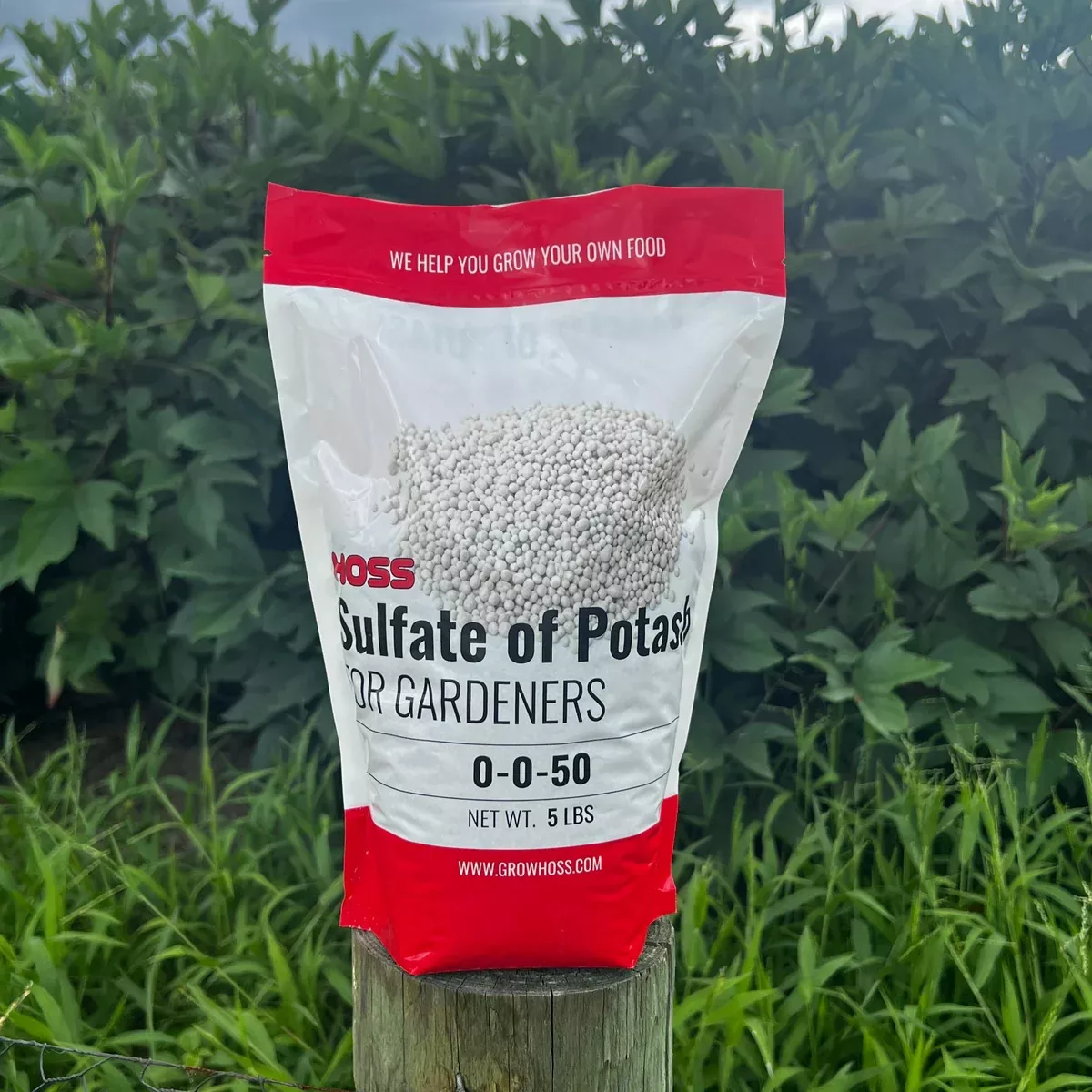 Sulfate of Potash