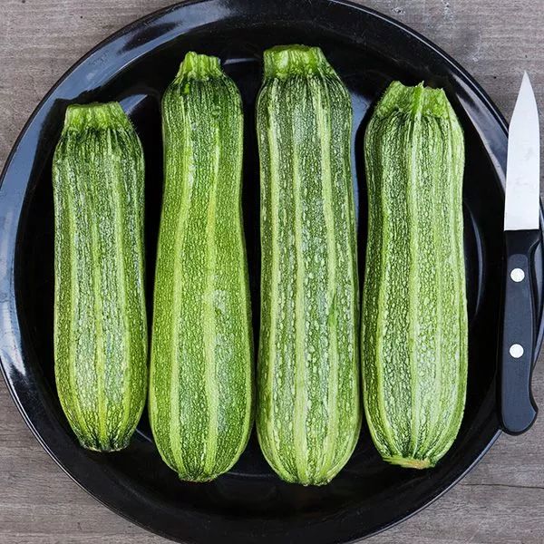Summer Squash Costata Romanesco
