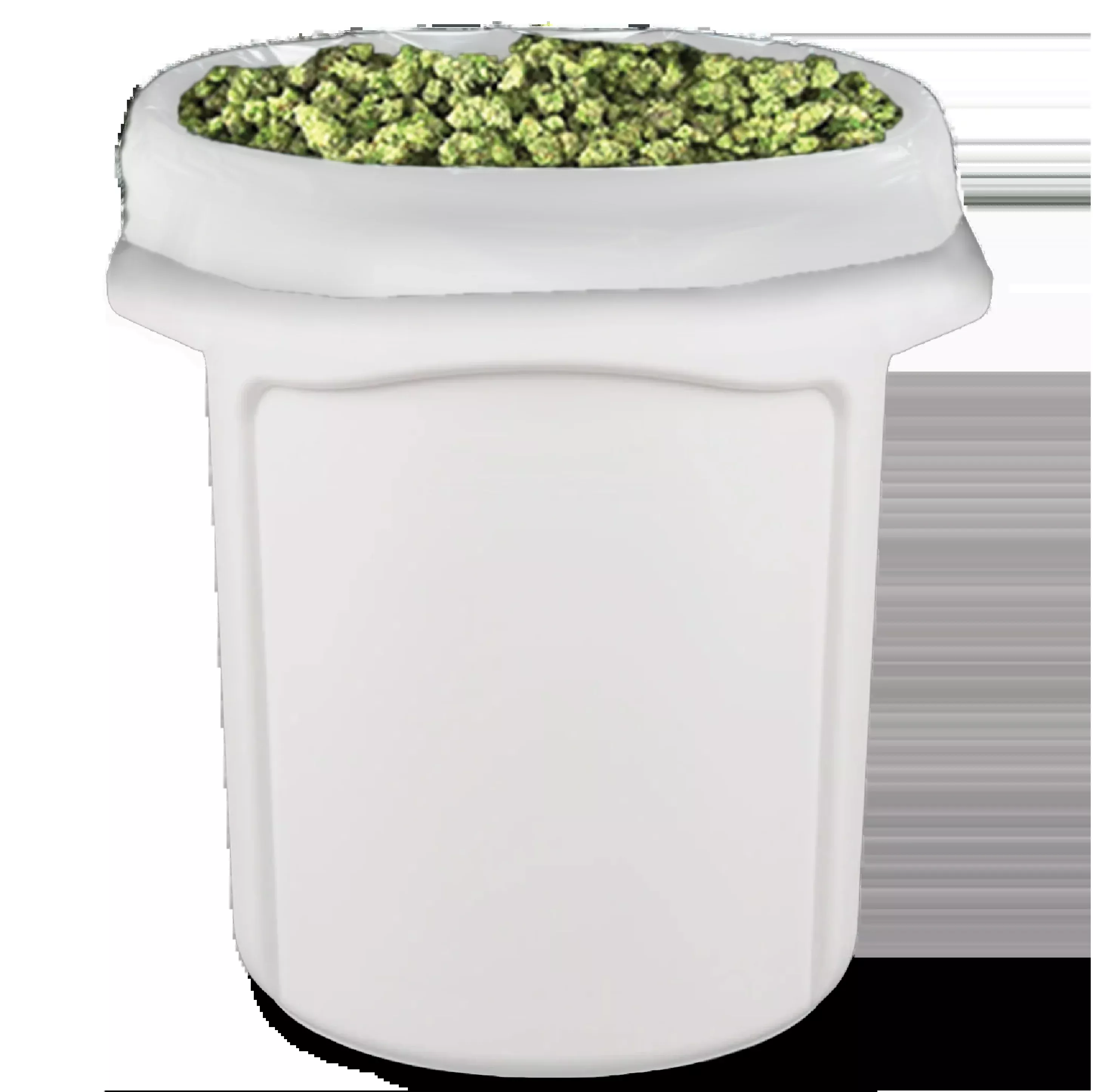 Terploc 20 Gallon White Bin Liner - Single