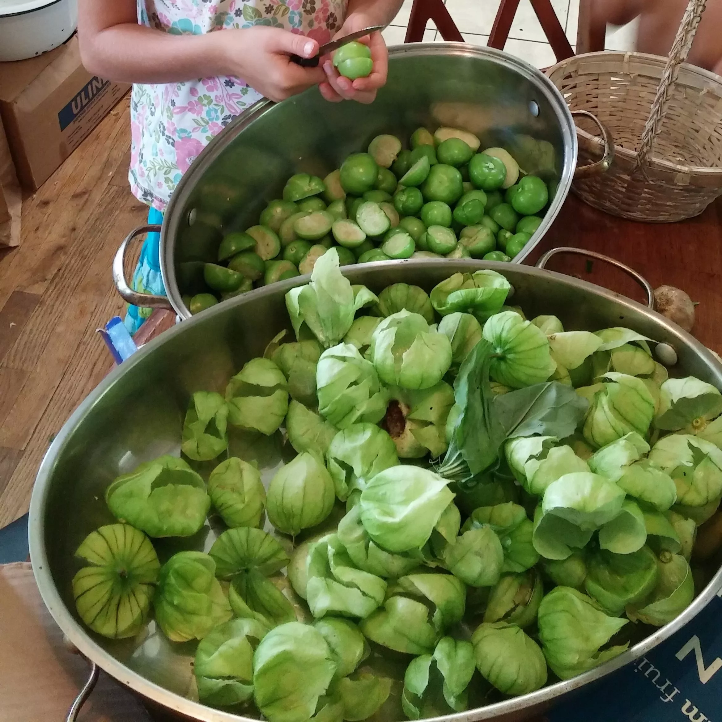 Tomatillo Toma Verde