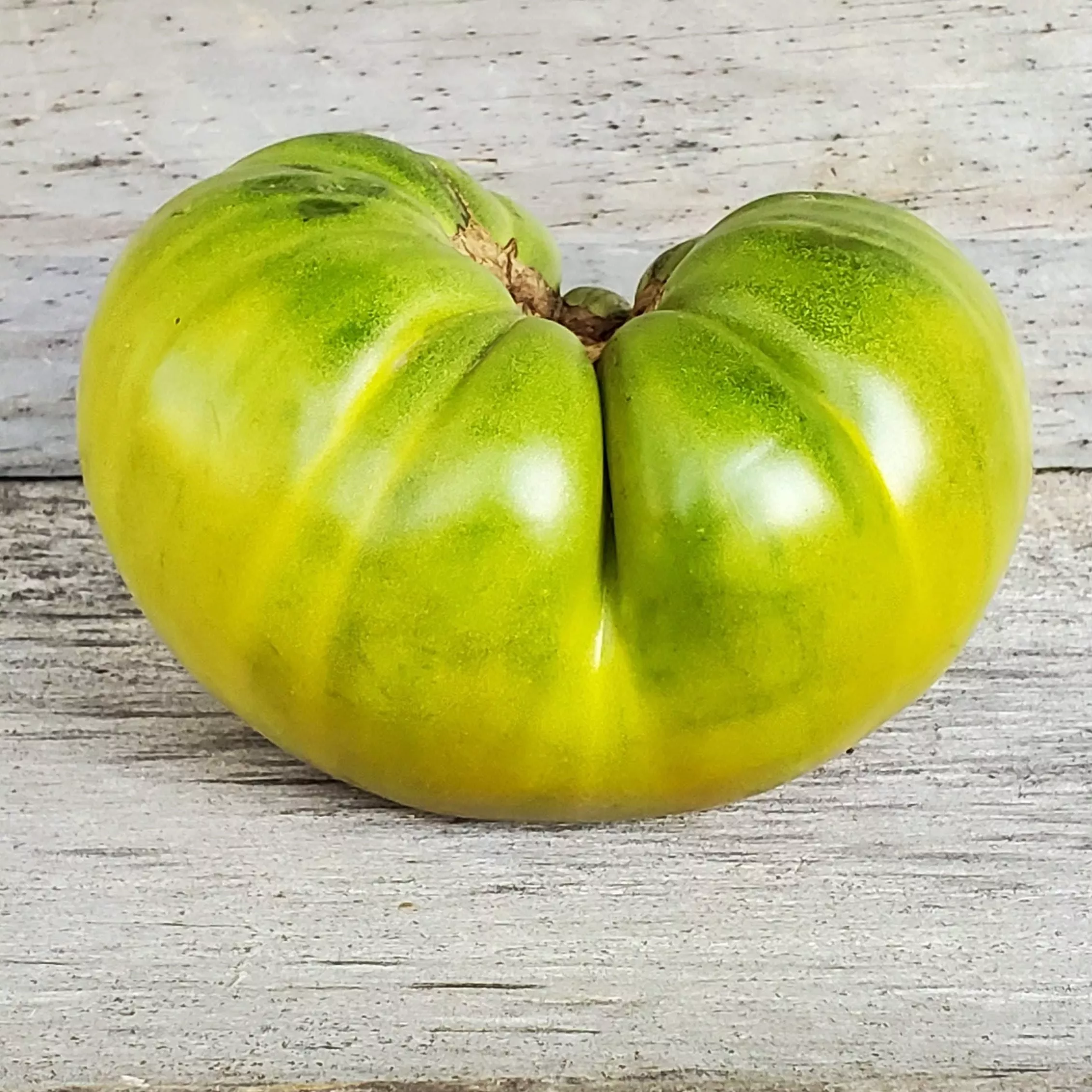 Tomato Aunt Ruby’s German Green
