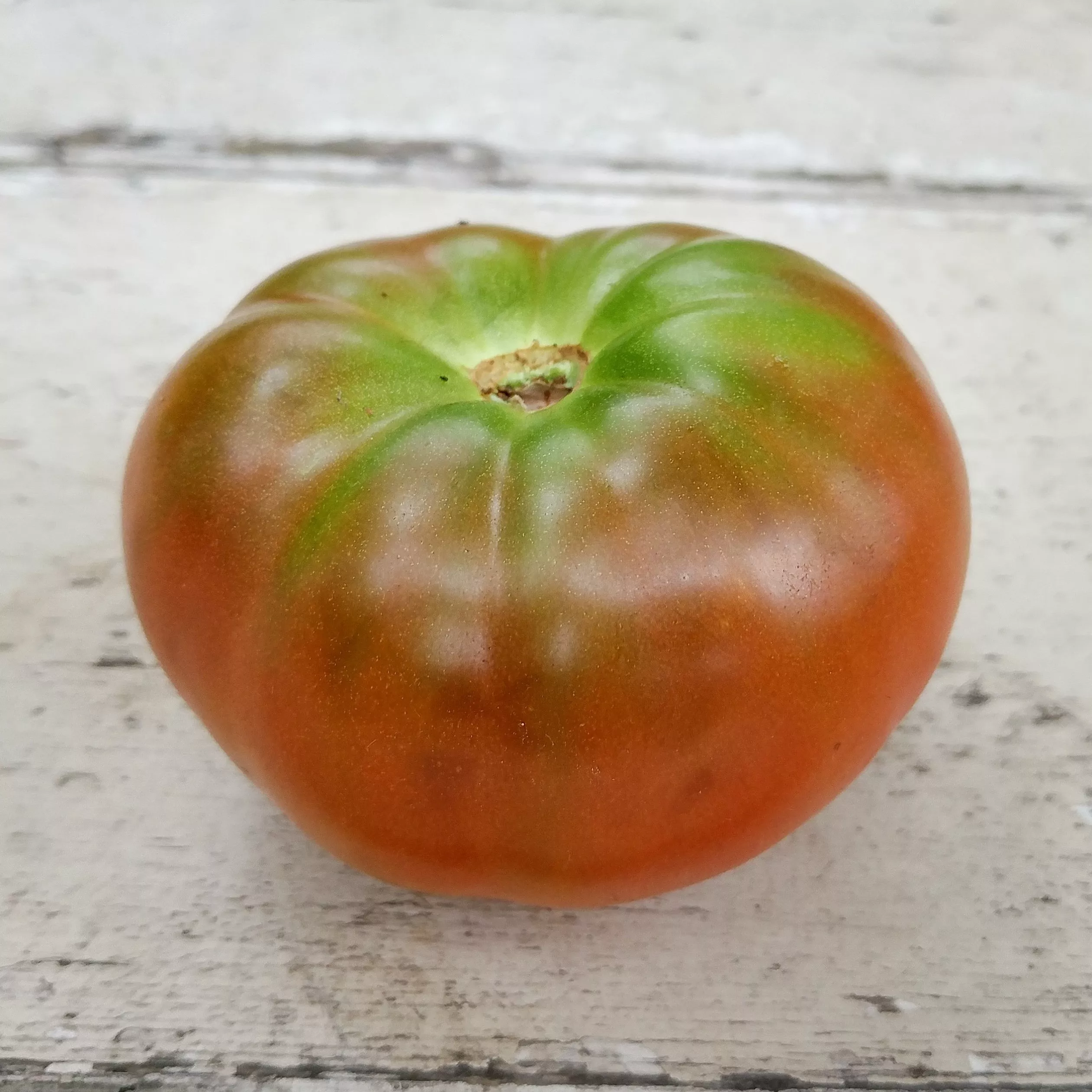 Tomato Black Krim