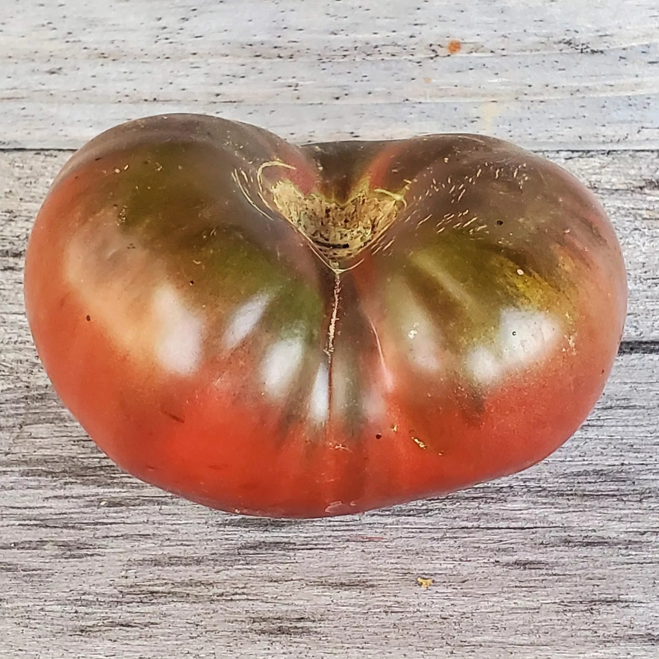Tomato Black Prince