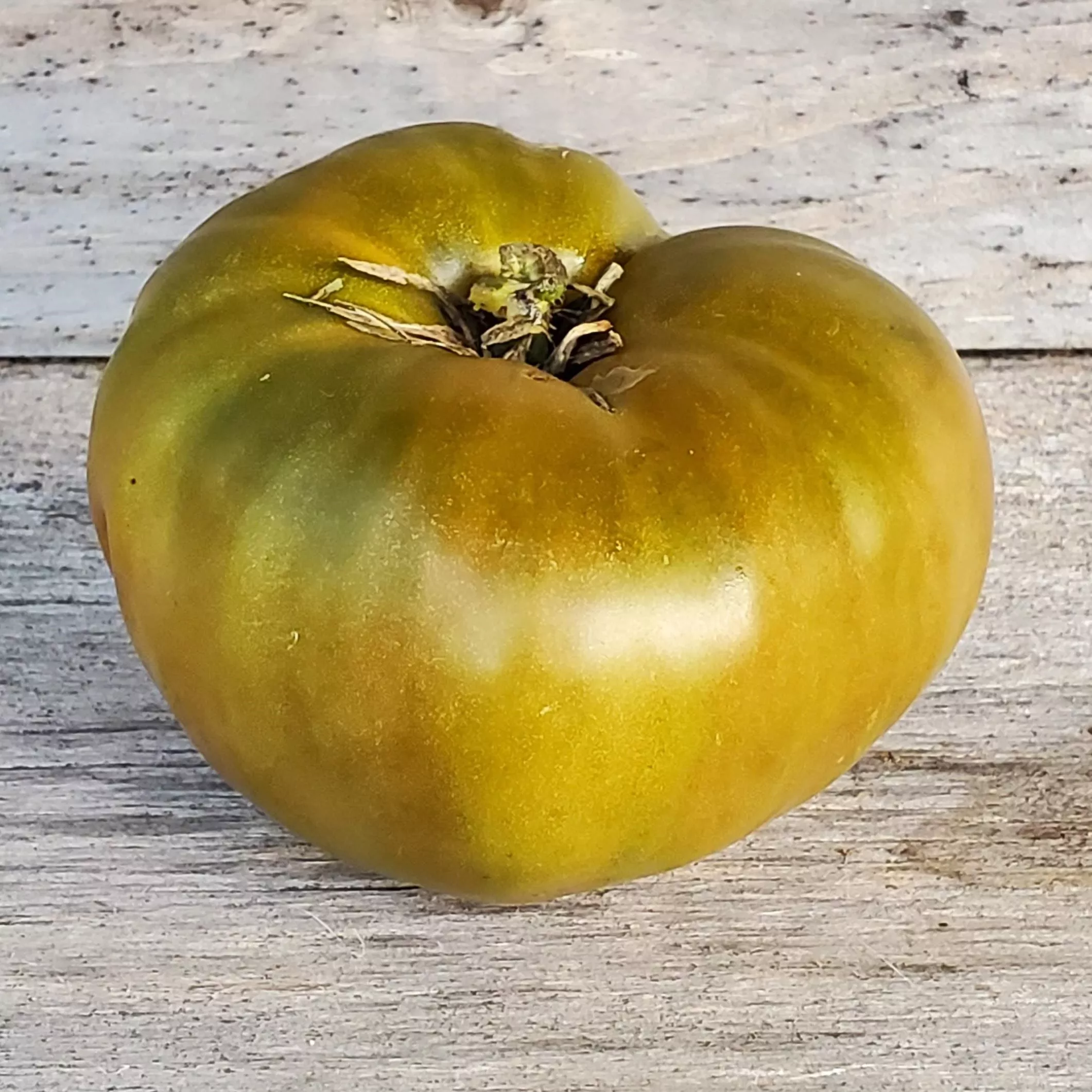 Tomato Green Zebra